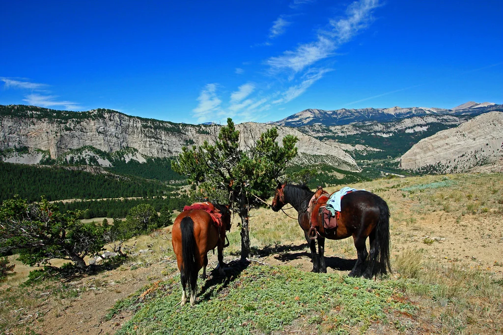 Triple J Ranch, États-Unis