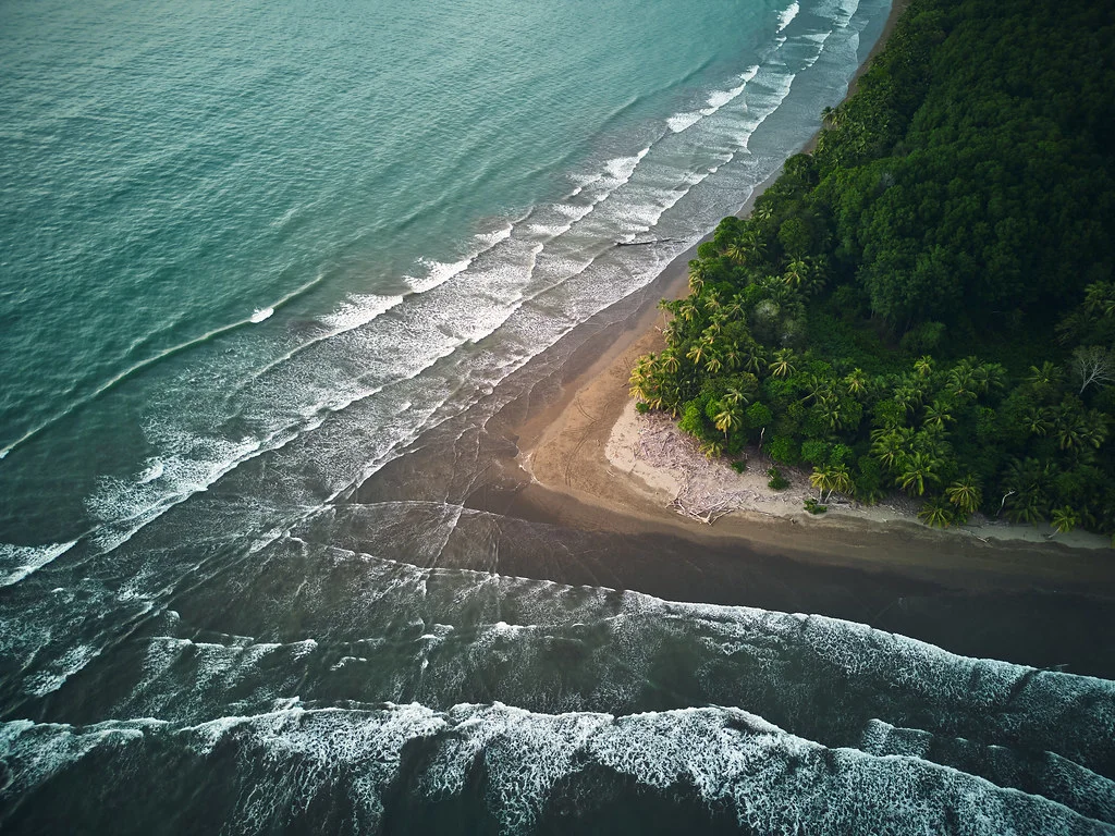 Cola de Ballena, Costa Rica