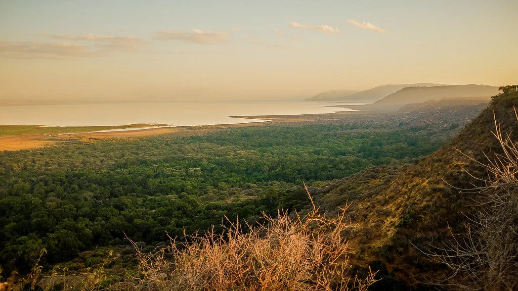 Parc national du lac Manyara, Tanzanie