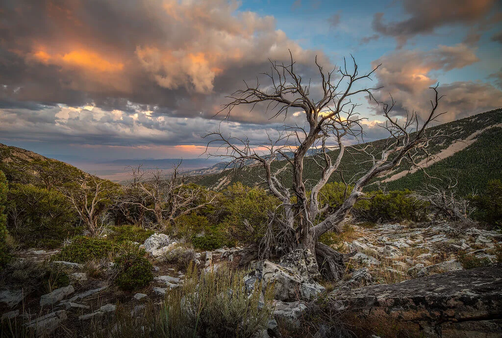 Parc national du Grand Bassin, États-Unis