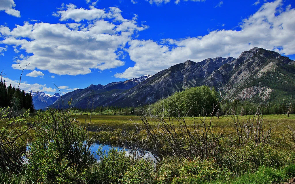 Montagnes Rocheuses, États-Unis