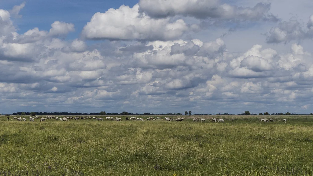 Parc national de Hortobágy, Hongrie