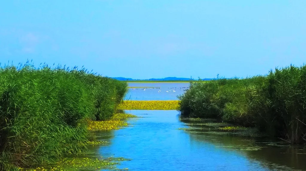 Parc national de Hortobágy, Hongrie