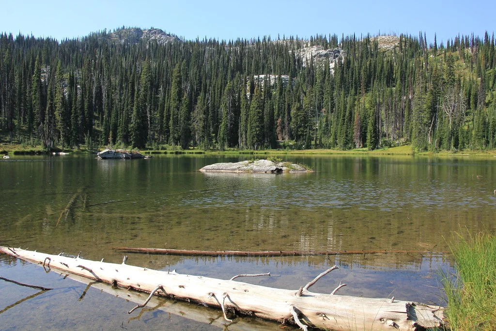 Selway–Bitterroot Wilderness, États-Unis, États-Unis