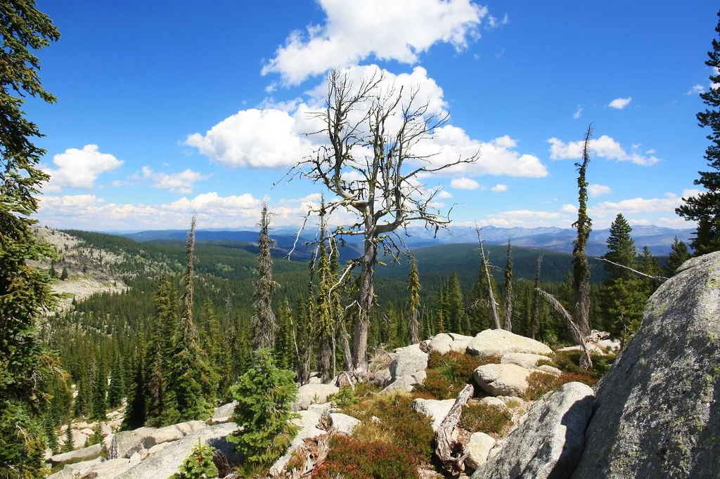 Selway–Bitterroot Wilderness, États-Unis, États-Unis