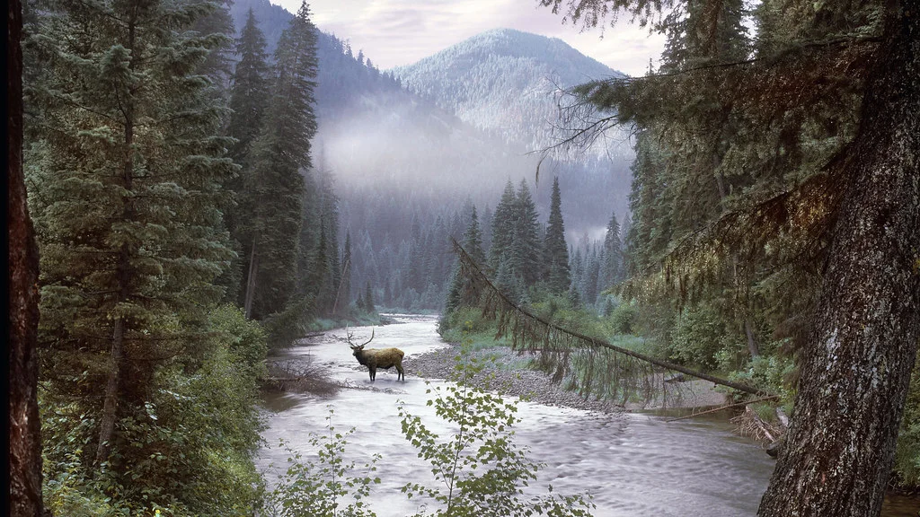 Selway–Bitterroot Wilderness, États-Unis, États-Unis
