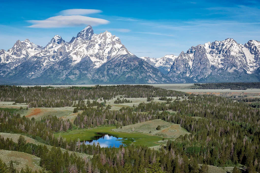 Forêt nationale de Shoshone, États-Unis