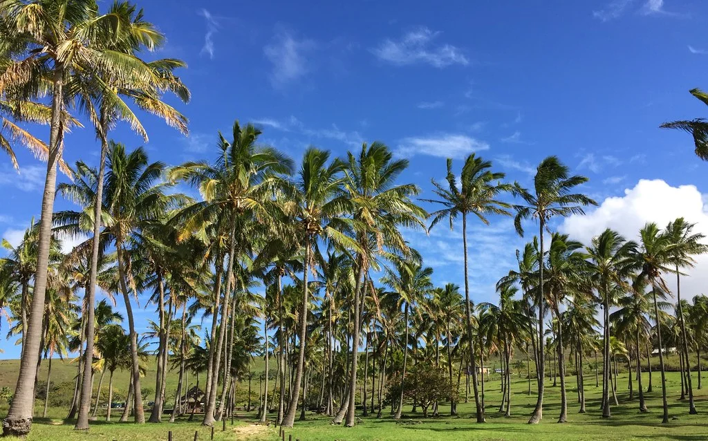 Anakena, Chili, Île de Pâques