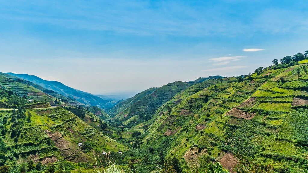 Parc national de Semuliki, Ouganda
