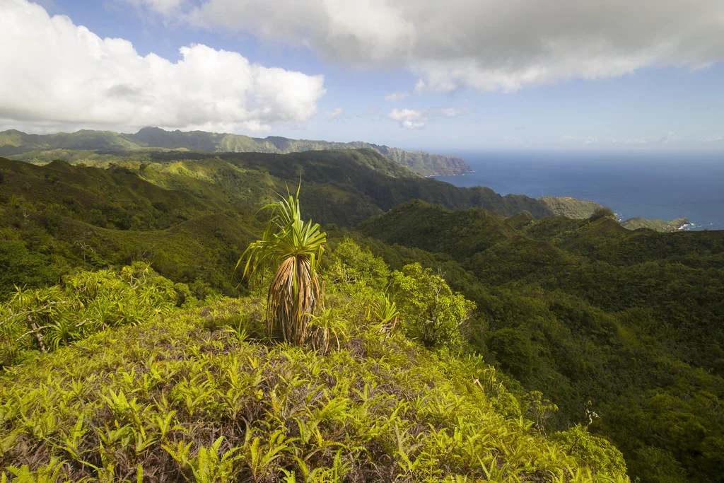 Puamau, Polynésie française