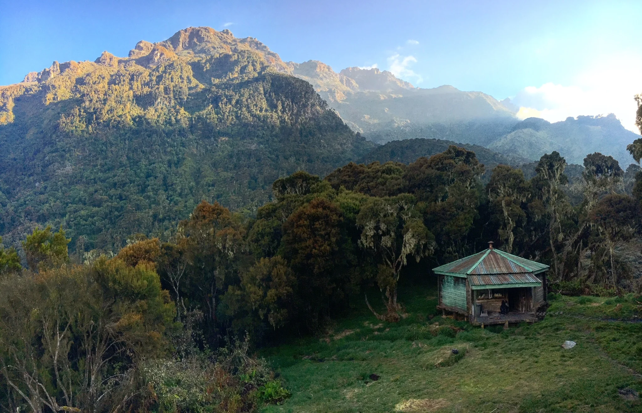 Parc national Rwenzori Mountains, Ouganda