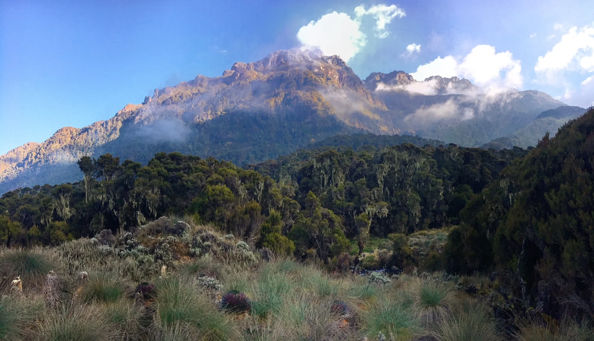 Parc national Rwenzori Mountains, Ouganda