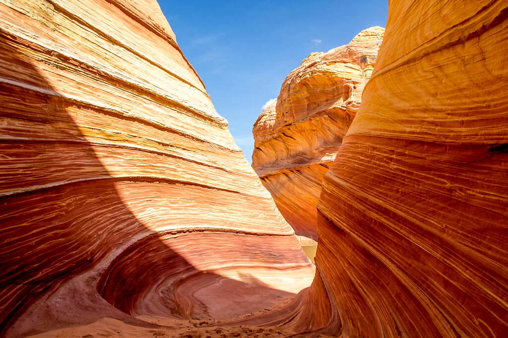 The Wave, États-Unis