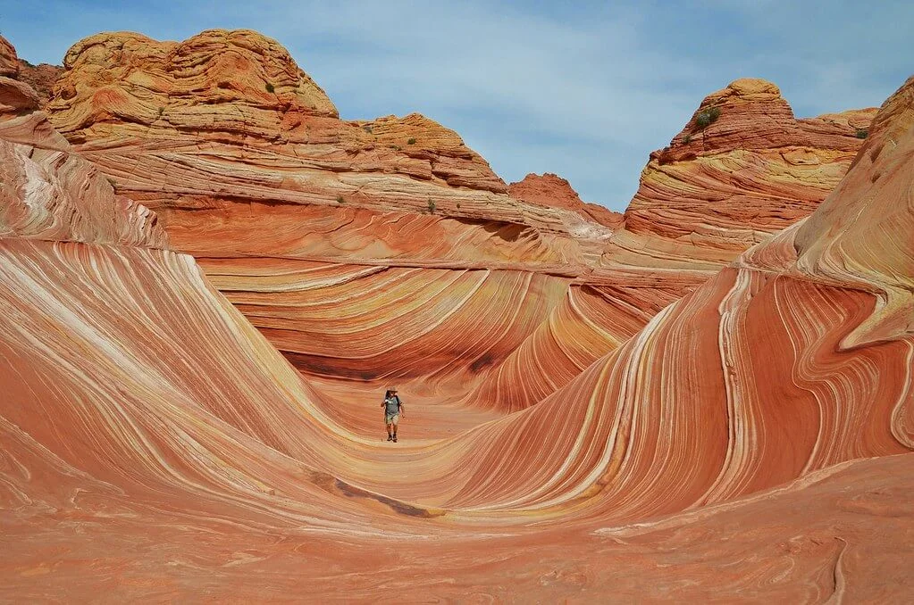The Wave, États-Unis