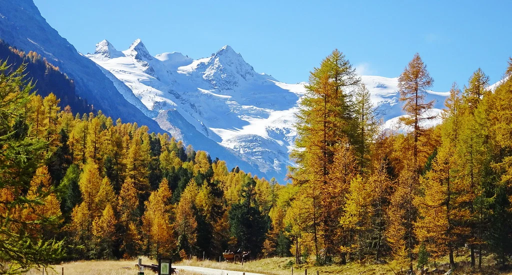 Parc national suisse, Suisse
