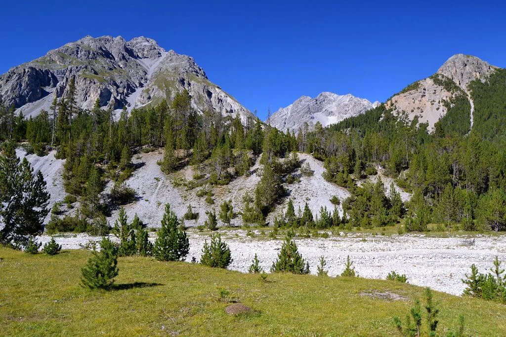 Parc national suisse, Suisse