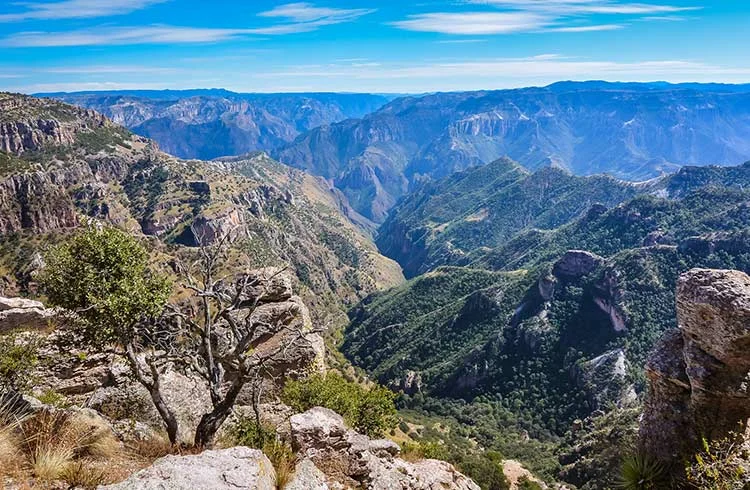 Barrancas del Cobre, Mexique