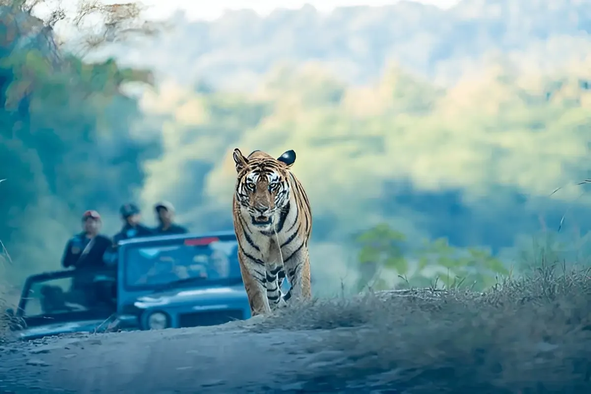 Parc national de Panna, Inde