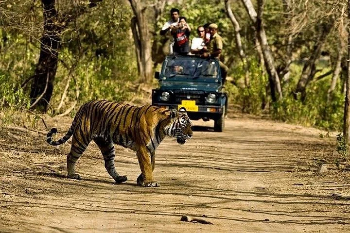 Parc national de Panna, Inde