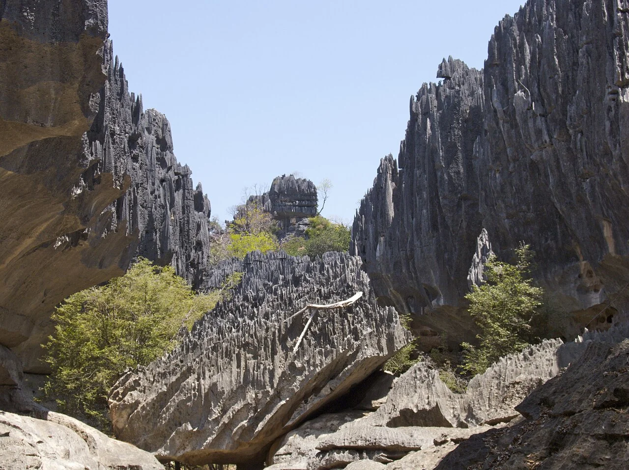 Parc national du Tsingy de Namoroka, Madagascar