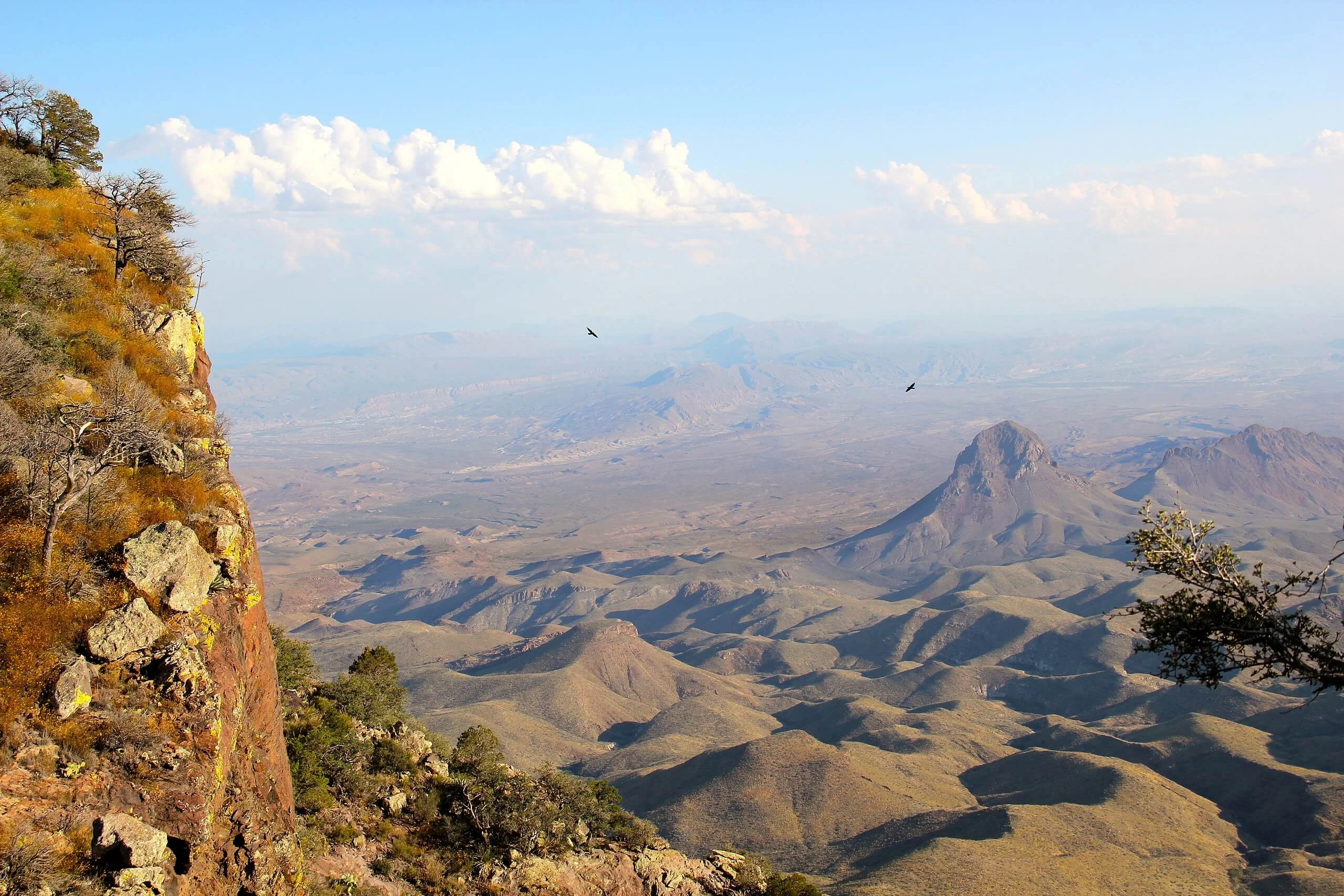 Désert de Chihuahua, États-Unis