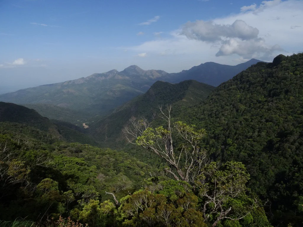 Monts Knuckles, Sri Lanka