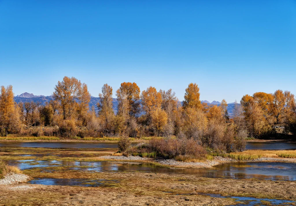 New Fork River, États-Unis