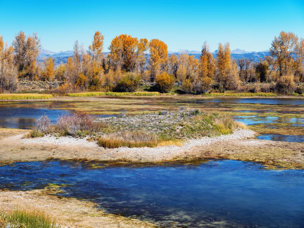 New Fork River, États-Unis