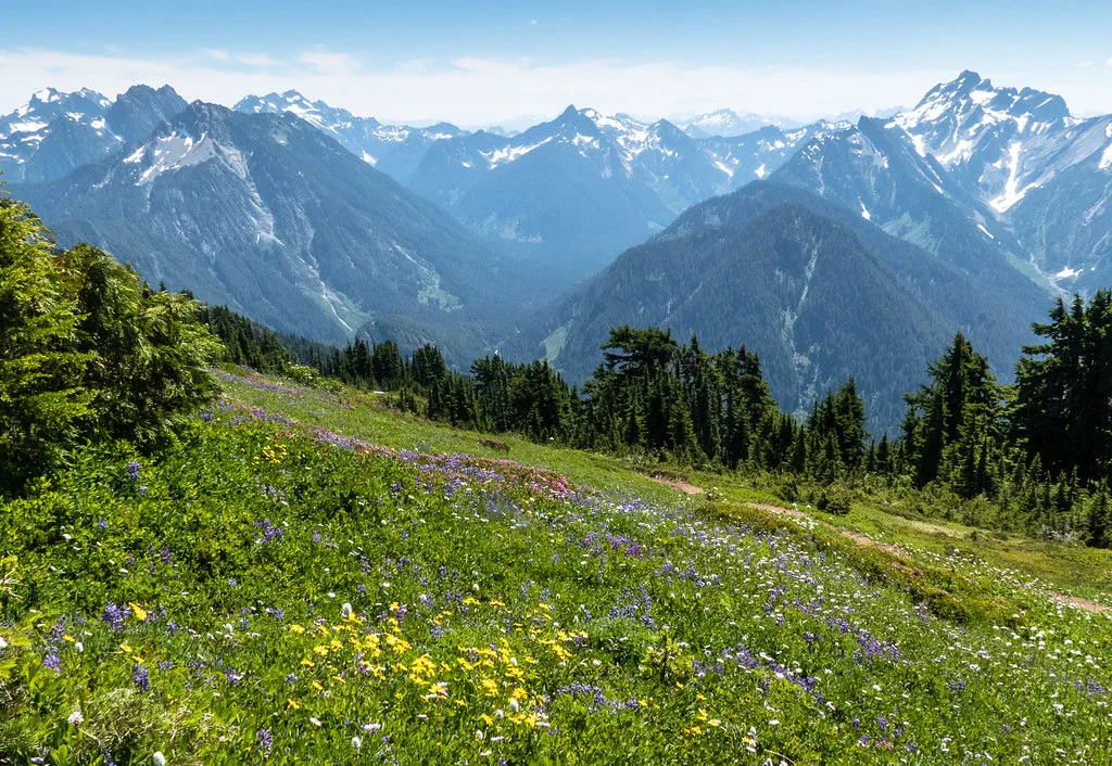 Mount Dickerman, États-Unis