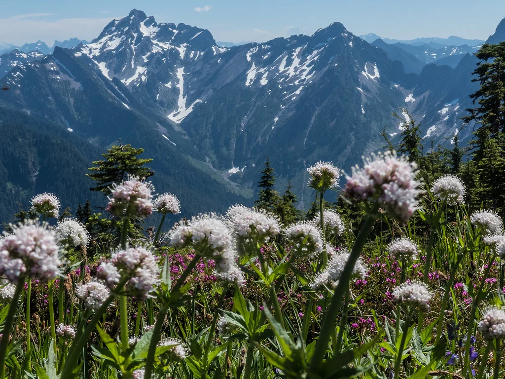 Mount Dickerman, États-Unis