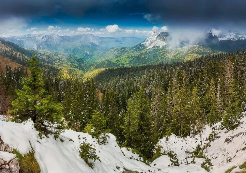 Perucica, Bosnie-Herzégovine