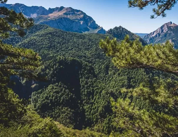 Perucica, Bosnie-Herzégovine