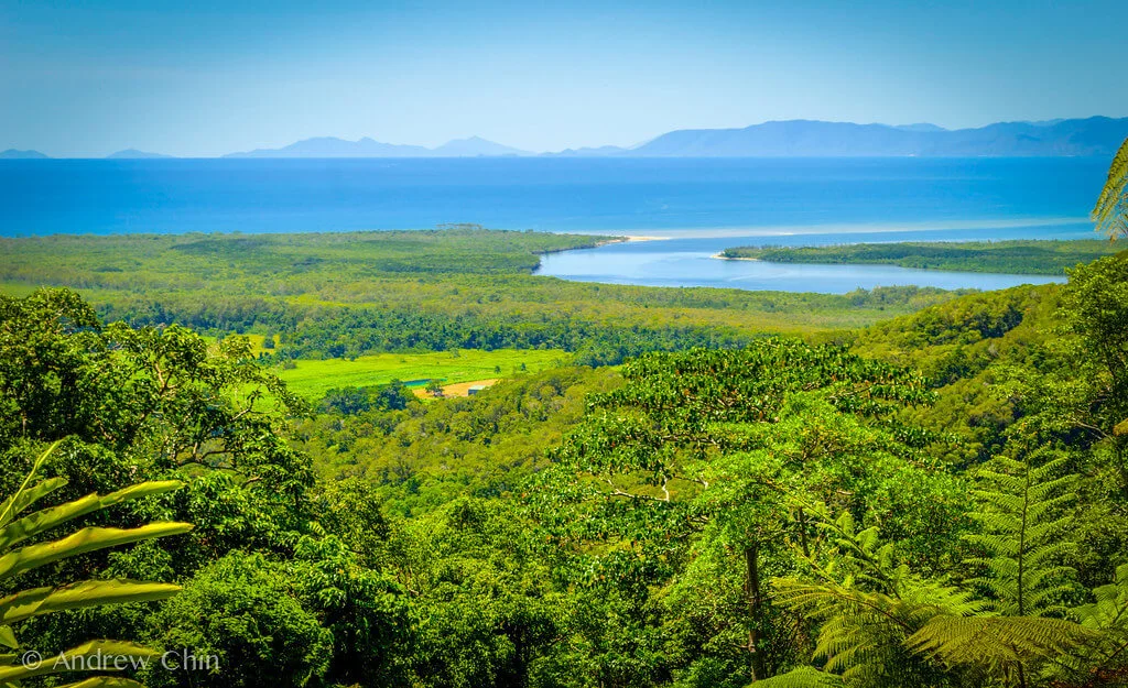 Parc national de Daintree, Australie