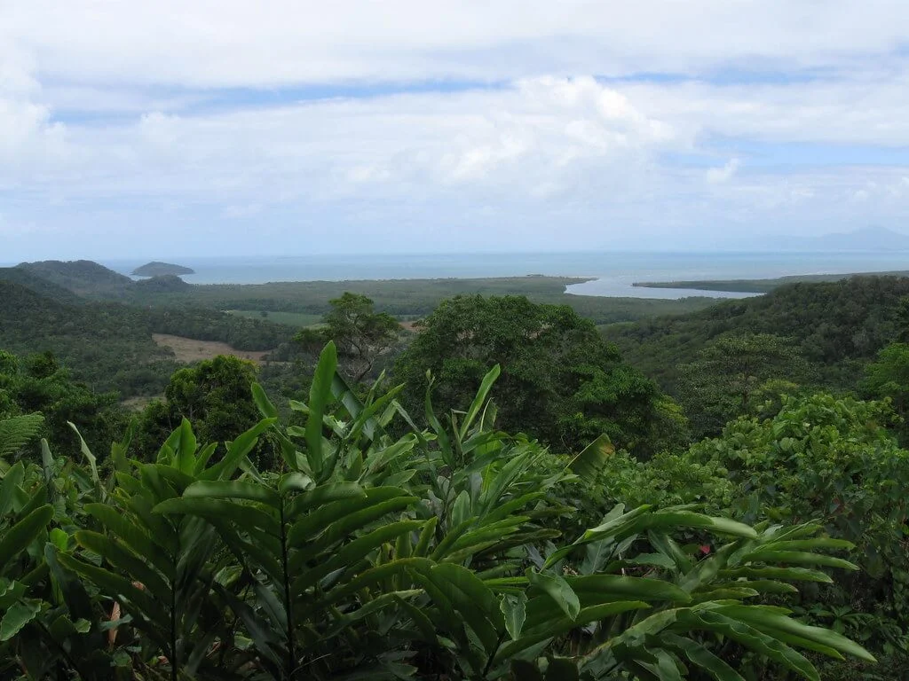 Parc national de Daintree, Australie