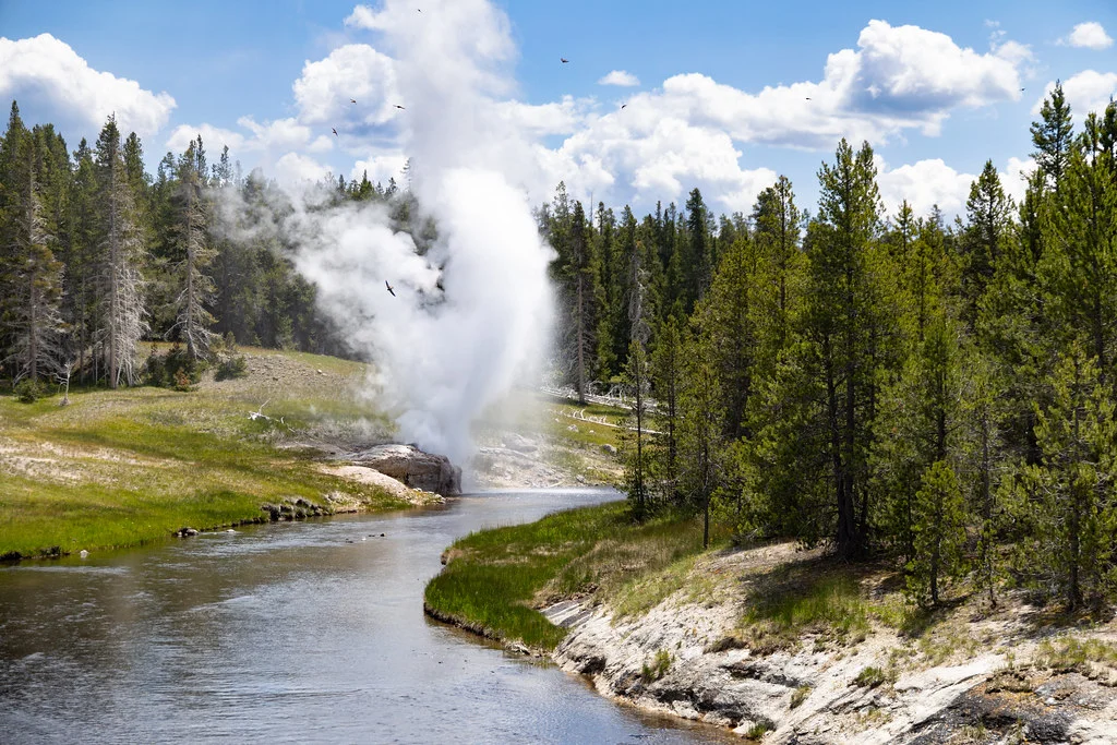 Riverside Geyser, États-Unis