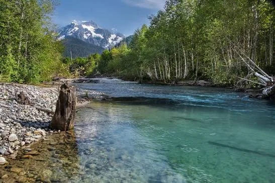 Nooksack River, États-Unis