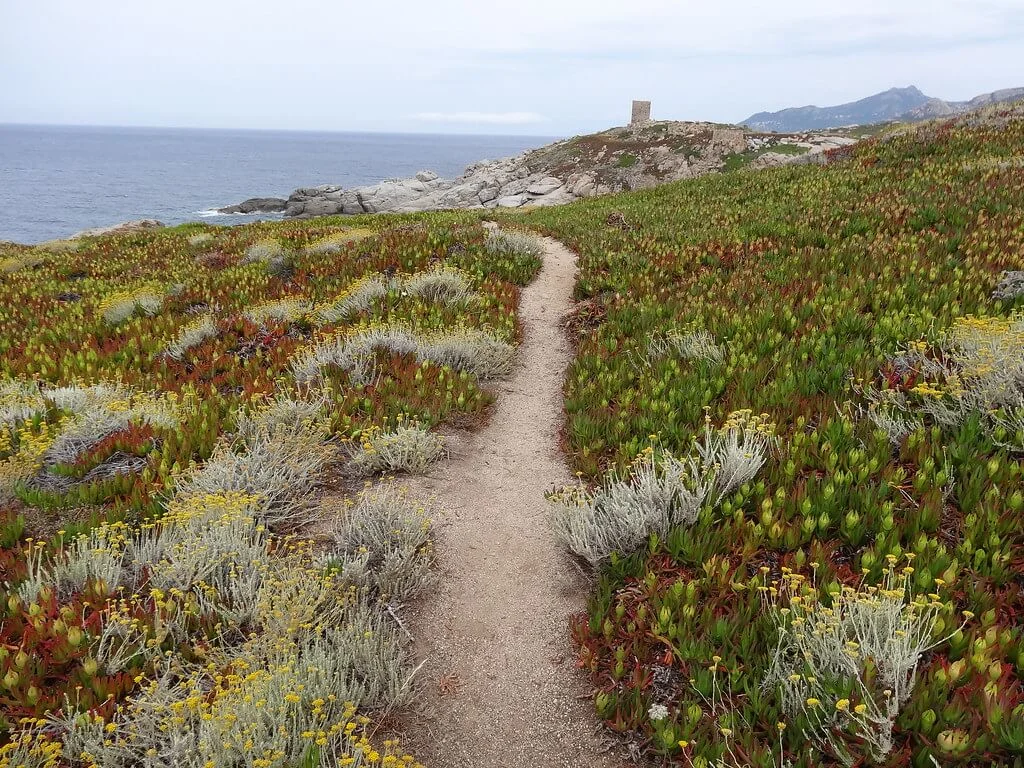 Pointe de spano, France