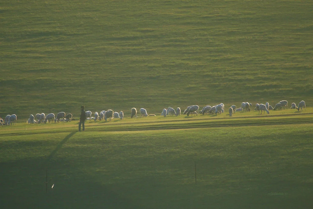 Hulunbuir, Chine