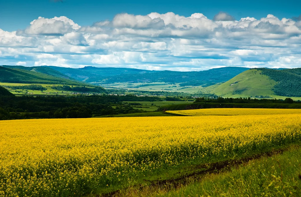 Hulunbuir, Chine