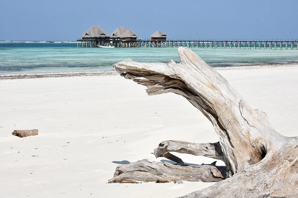 Bwejuu, Tanzanie