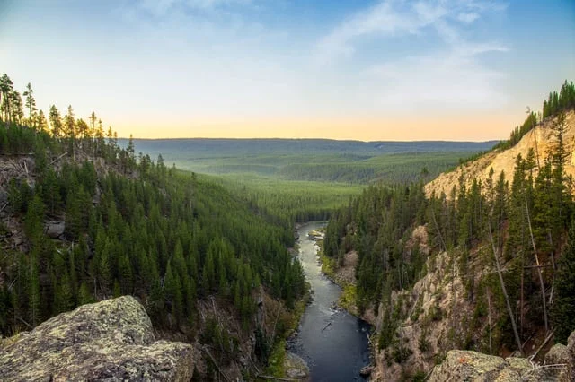 Gibbon River, États-Unis