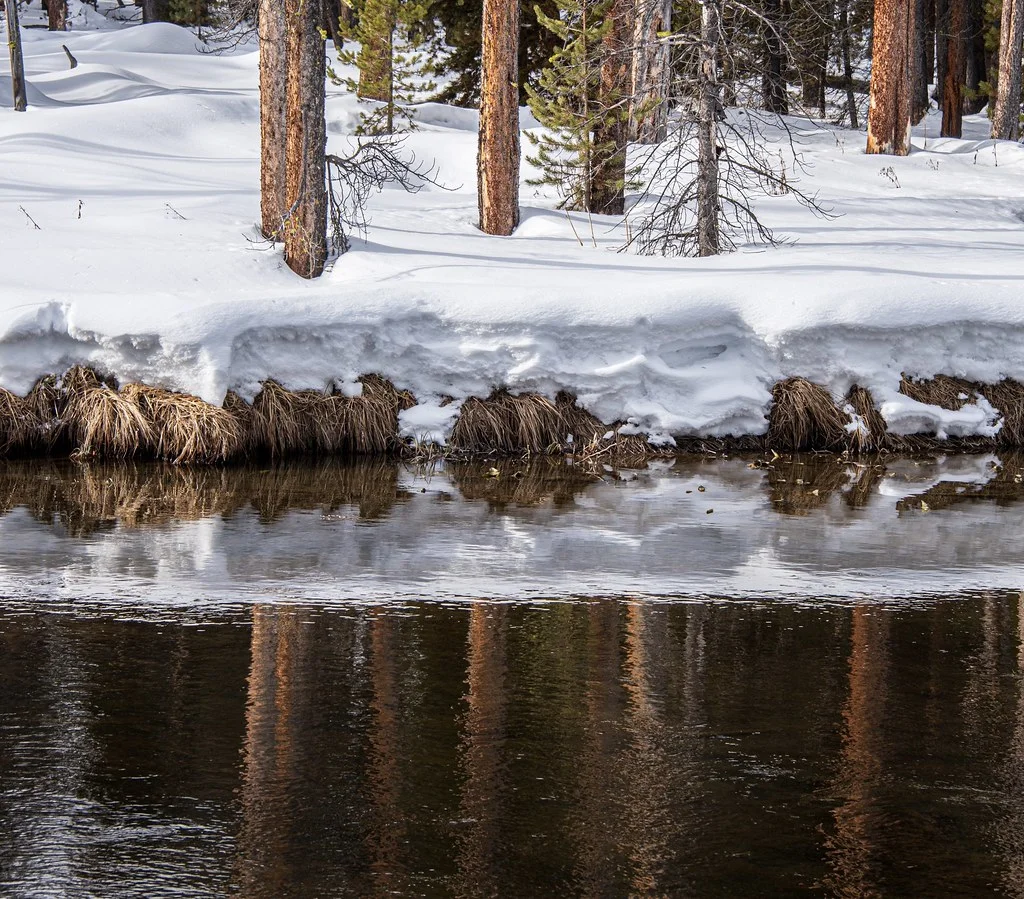 Gibbon River, États-Unis