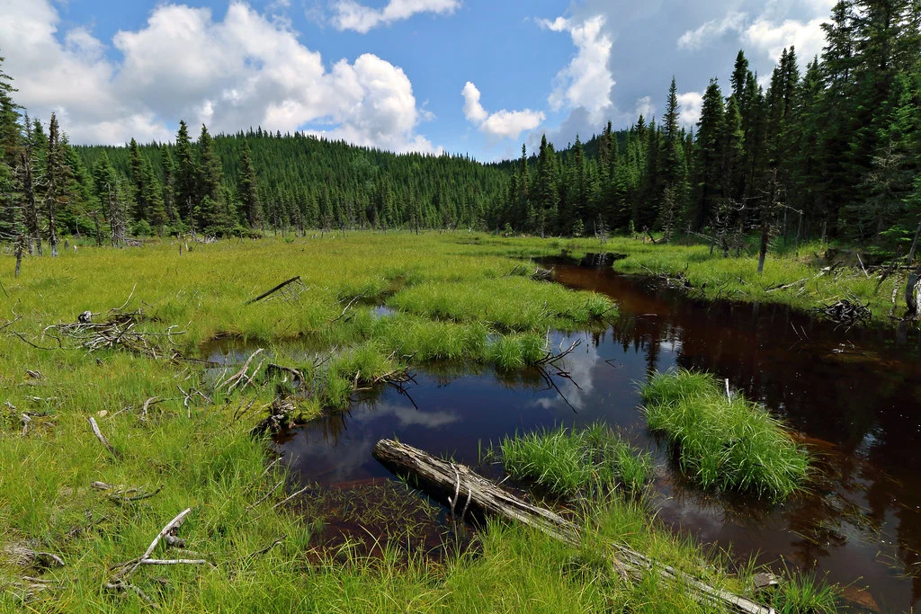 Sentier Le Scotora, Canada