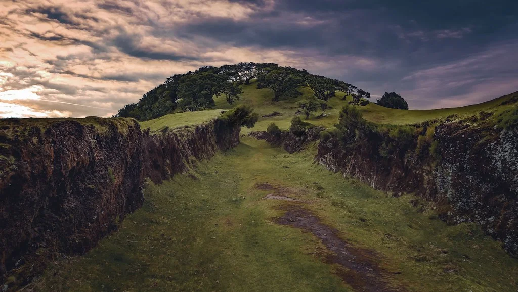 Vereda do Fanal, Portugal, Madère