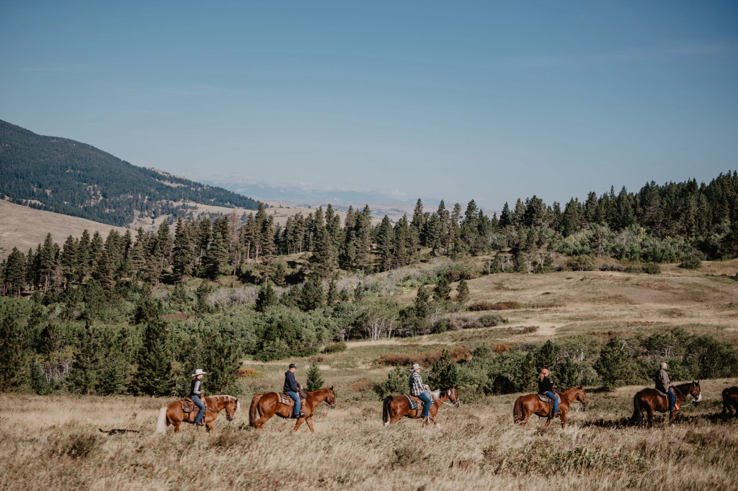 Blacktail Ranch, États-Unis