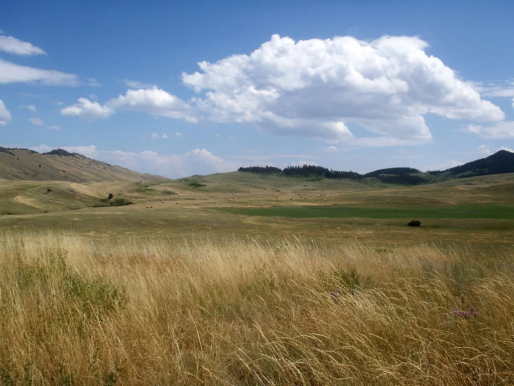 Blacktail Ranch, États-Unis
