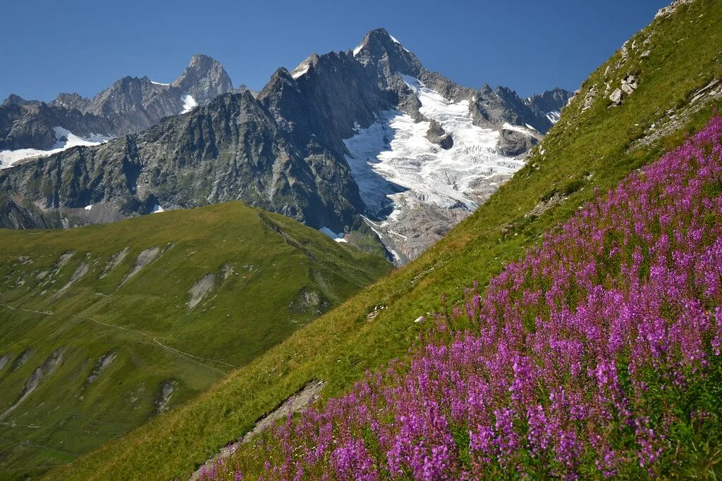 Aiguille de Triolet, France, Italie