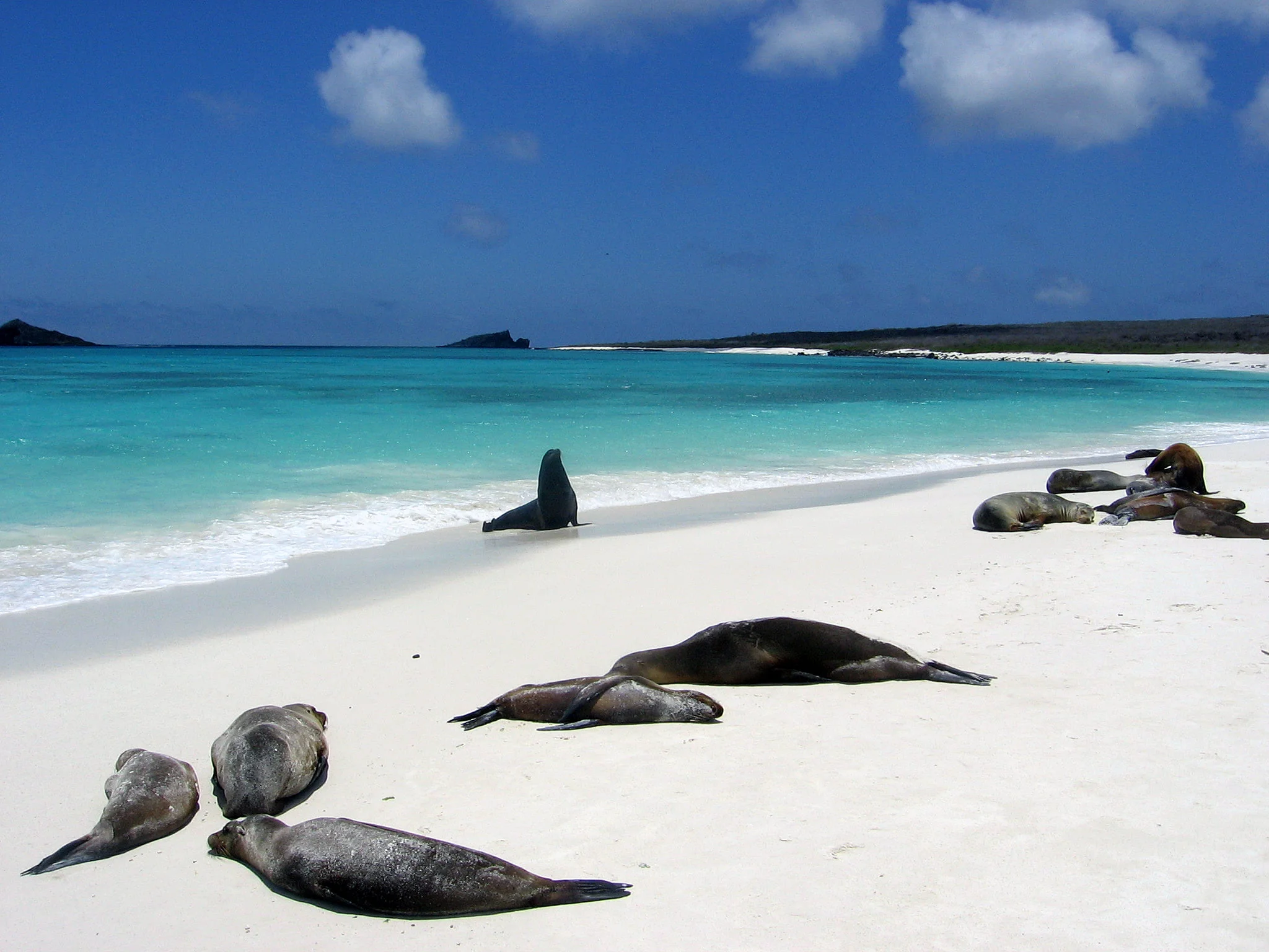 Bahía Gardner, Équateur, Îles Galápagos