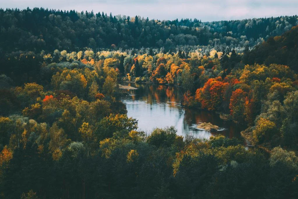 Parc national de la Gauja, Lettonie
