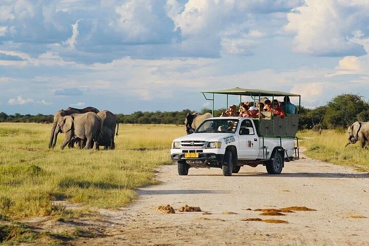 Parc national d'Etosha, Namibie
